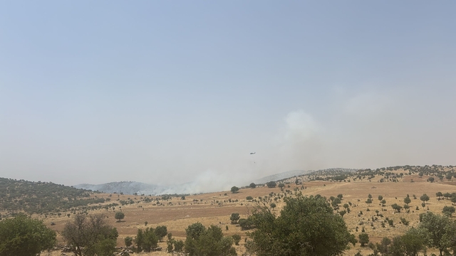 Mardin'de ormanlık alanda çıkan yangına müdahale ediliyor