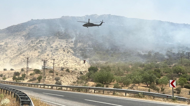 Mardin'de orman yangını (2)