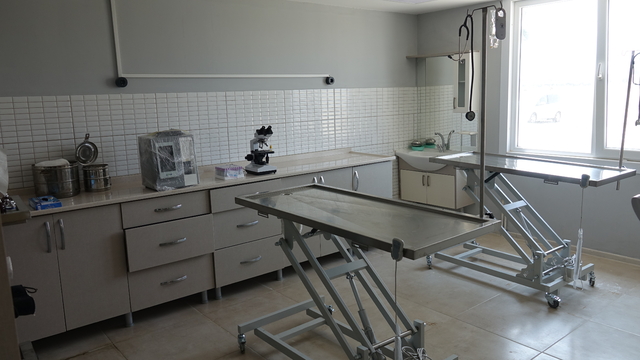 Balıkesir'de yenilenen sokak hayvanları rehabilitasyon merkezi açıldı