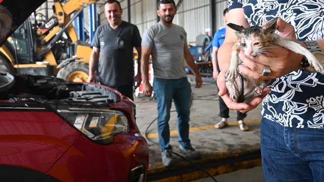 Kocaeli'den kısa kısa