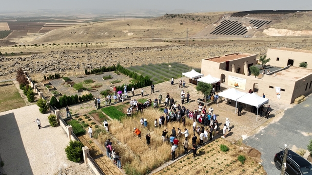 Şanlıurfa'da Slow Wheat Şanlıurfa 2025 etkinliği düzenlendi
