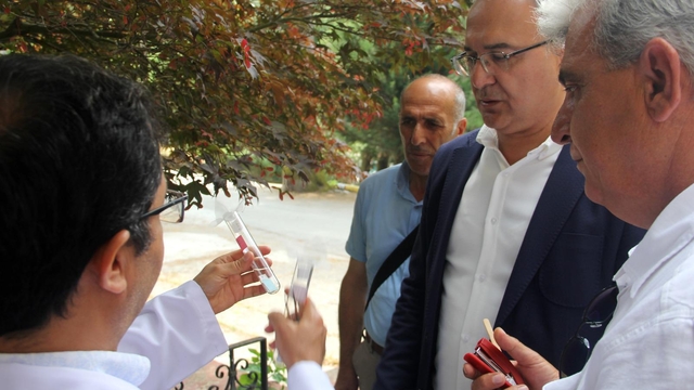 Yalova'da kahverengi kokarcayla mücadele için samuray arısı doğaya bırakıldı