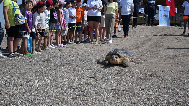 Yaralı bulunan deniz kaplumbağası tedavi sonrası Akdeniz'le buluştu