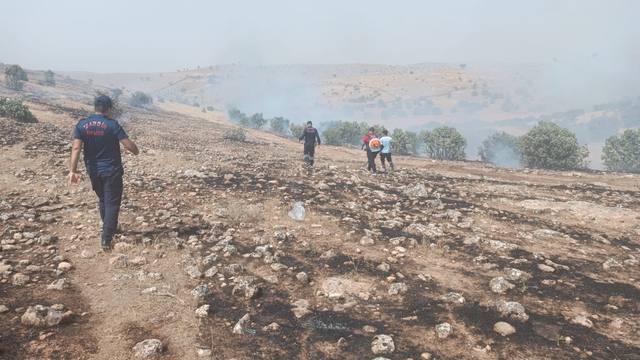 Savur'da çıkan orman yangını söndürüldü