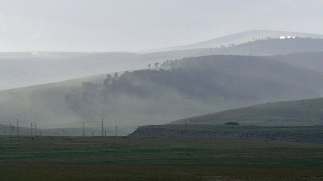 Kars'ta polen yoğunluğu oluştu