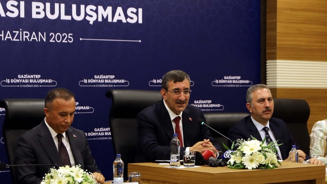 Cumhurbaşkanı Yardımcısı Yılmaz: İsrail maalesef istikrarsızlık arıyor (2)