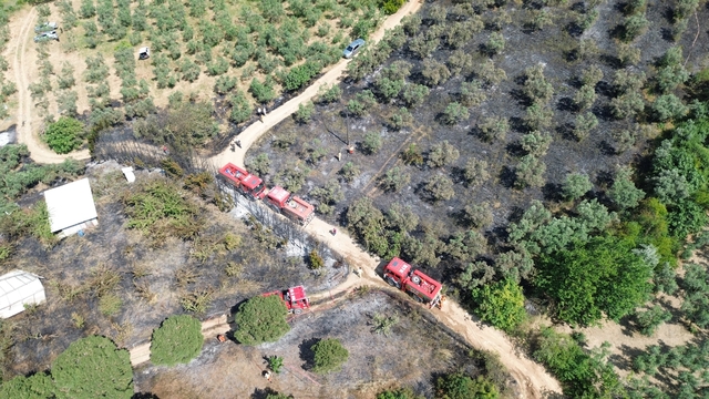 Zeytinlikteki kulübede çıkan yangına helikopterle müdahale edildi