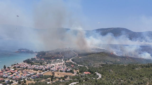 İzmir'de orman yangını (2)