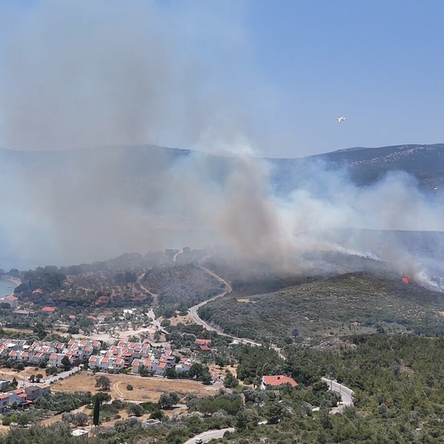 İzmir'de orman yangını (2)