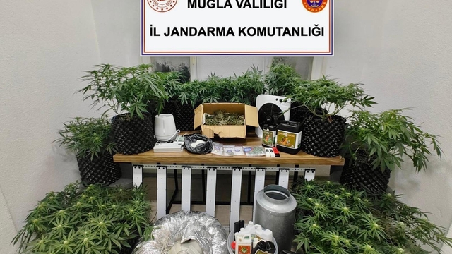 Bodrum'da uyuşturucuya 1 tutuklama