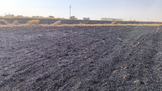 Mardin'de bir serada ve buğday tarlasında çıkan yangın söndürüldü