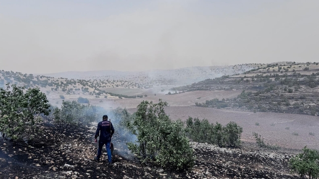 Mardin'de orman yangını (4)