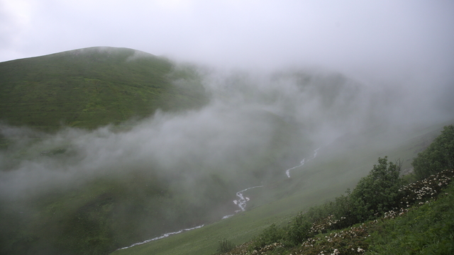 Rize'de "20. Dağ Horozu Şenliği" düzenlendi