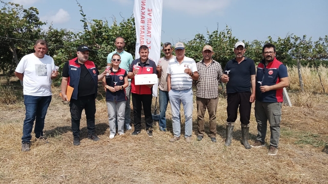 Çanakkale'de kahverengi kokarcaya karşı samuray arısı salındı