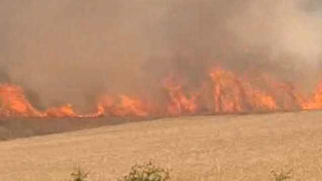 Çanakkale'de tarım arazisinde yangın
