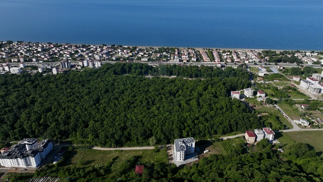 Samsun'da Çakırlar Korusu ziyaretçilerin ilgisini çekiyor