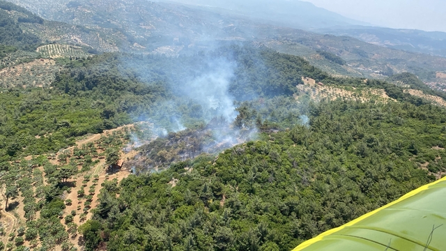 Aydın'ın Germencik ilçesinde ormanlık alanda yangın çıktı