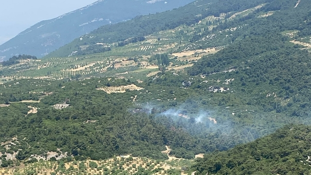 Aydın'da orman yangını (2)