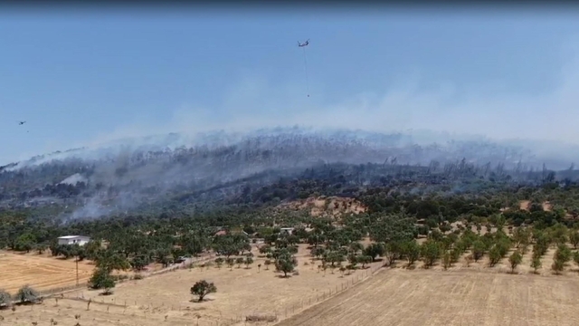 İzmir'de orman yangını (2)