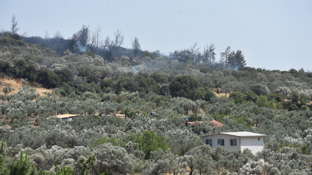 İzmir'de orman yangını; 4 gözaltı (3)