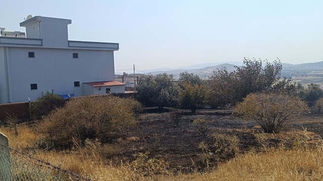 İzmir'de orman yangını; 4 gözaltı (4)