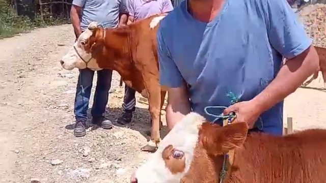 Ladik'te cami inşaatına vatandaşlardan destek