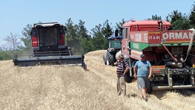 Gelibolu'da biçerdöverle hububat hasadı arazöz refakatinde yapıldı