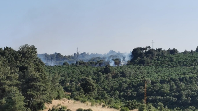 Çanakkale'de çıkan orman yangını kontrol altına alındı