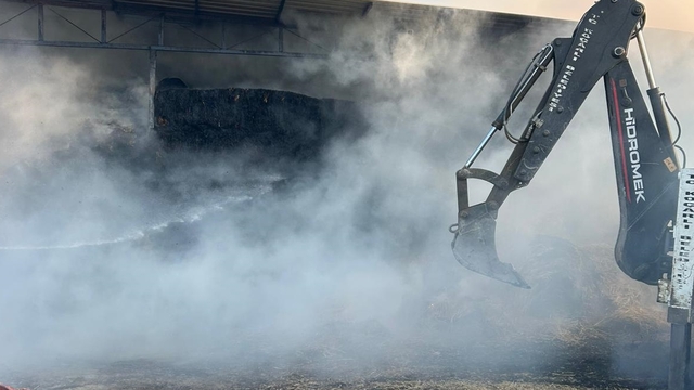 Aydın'da çiftlikte çıkan yangın söndürüldü