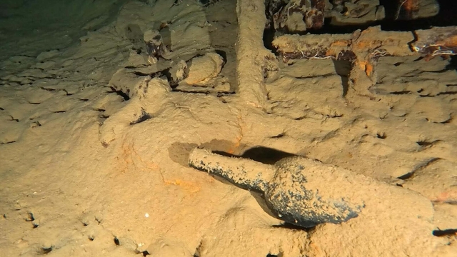 110 yıllık şarap şişesi gün yüzüne çıkarıldı