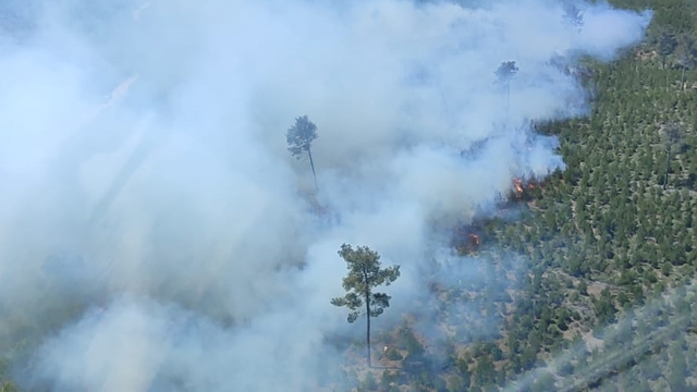 Manisa'da çıkan orman yangınına müdahale ediliyor