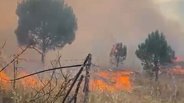 Balıkesir'de örtü yangını