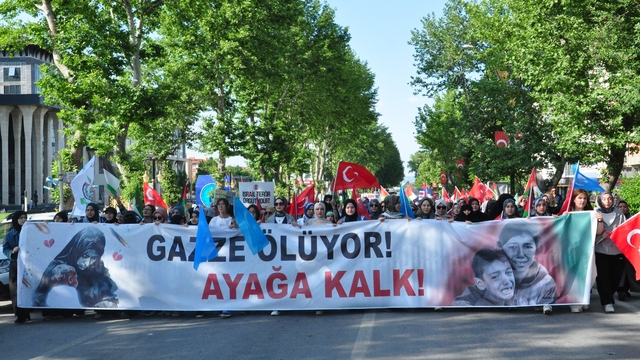Galeri