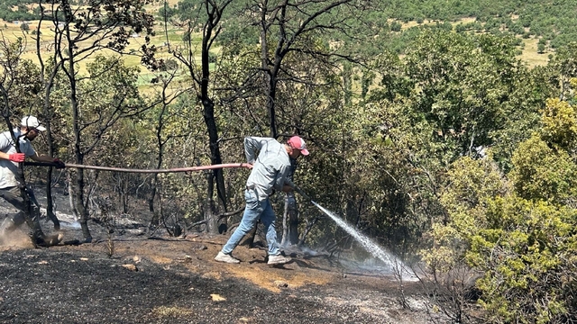 Uşak'ta meşelikte çıkan yangın, 3 saatte söndürüldü