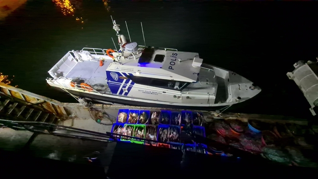 Samsun'da kaçak avlanan 6 ton kalkan balığı ele geçirildi