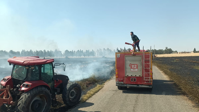 Mardin'de yaklaşık 350 dekar buğday ekili alan yandı