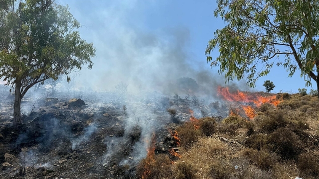 Muğla'da maki yangını