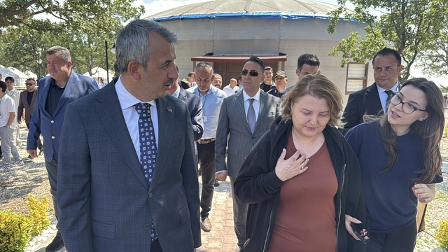 Edirne'de 18 saat ağaçta mahsur kalan kedi kurtarıldı