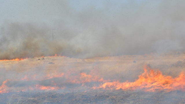 Gaziantep'te anız yangını 4 saatte söndürüldü