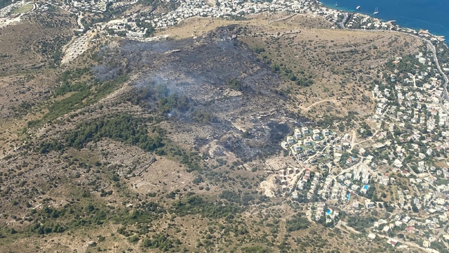 Muğla'da maki yangını (3)