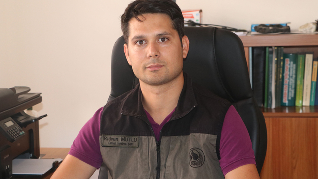 Havza Orman İşletme Şefliğinden ormanlara giriş yasağı açıklaması