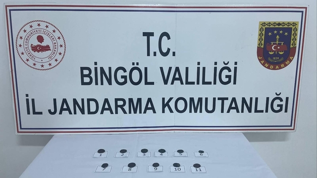 Bingöl'de 11 sikke ele geçirildi