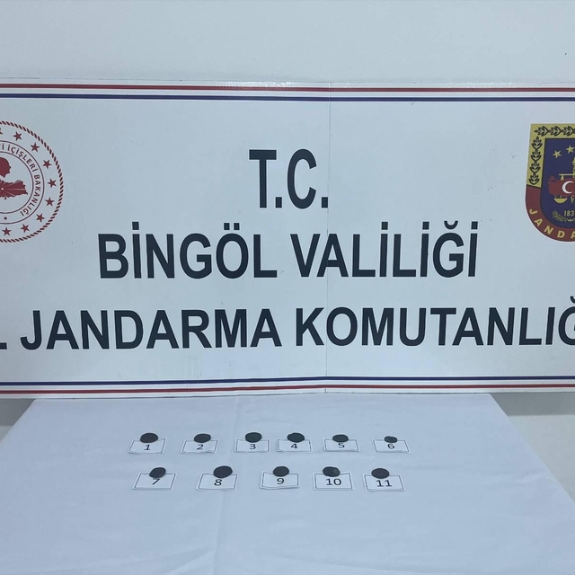 Bingöl'de 11 sikke ele geçirildi