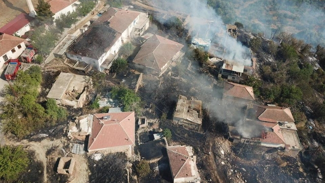 Malatya'da otluk alanda çıkan yangın evlere sıçradı