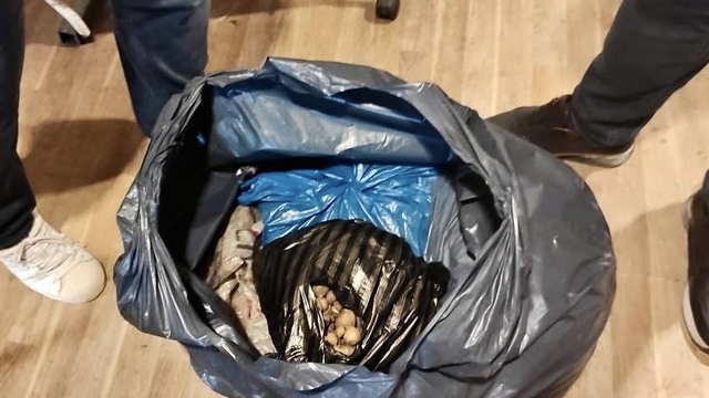 Sinop'ta izinsiz yabani orkide satışına ilişkin idari işlem