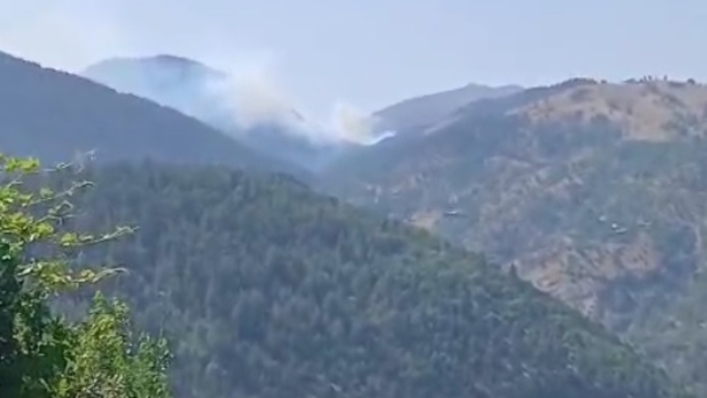 Adana'da orman yangını