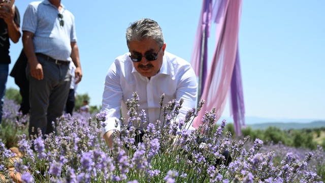 Osmaniye'de Lavanta ve Zeytin Çiçeği Festivali düzenlendi