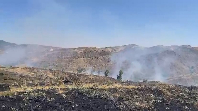 Bingöl'de çıkan örtü yangını 2 saatte söndürüldü
