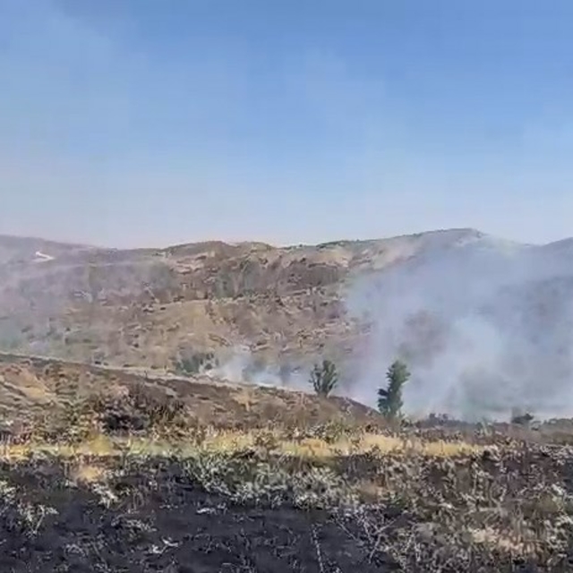 Bingöl'de çıkan örtü yangını 2 saatte söndürüldü
