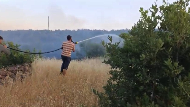 Diyarbakır'da örtü yangını, 2 saatte kontrol altına alındı
